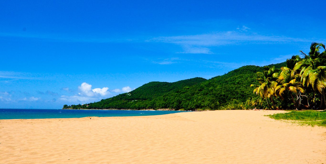 Famille se baignant dans les eaux turquoise calmes de la plage de Grande Anse, Deshaies
